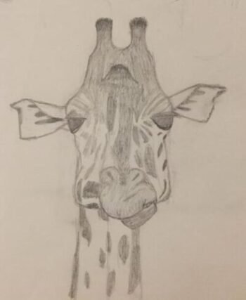 girafe en dessin