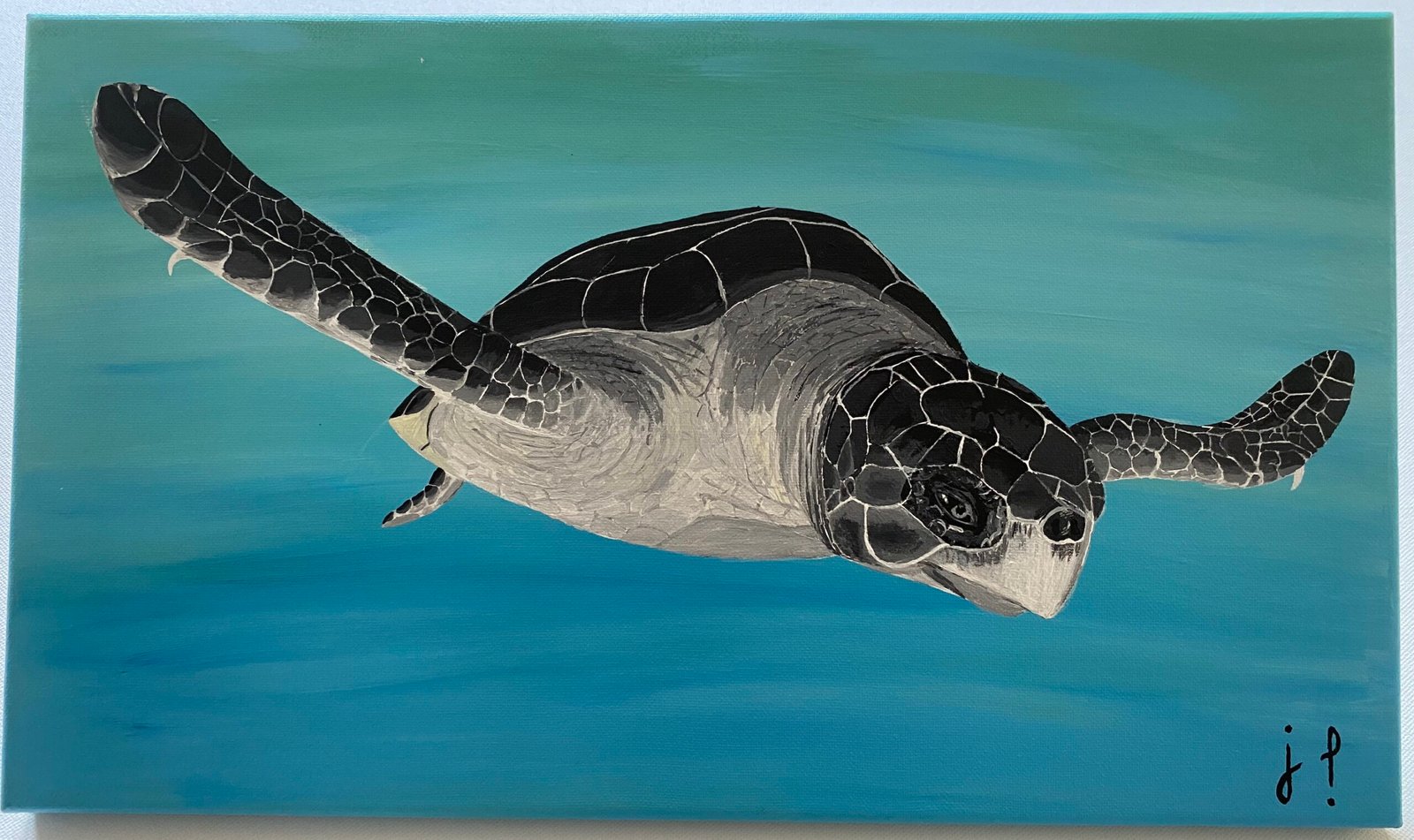 tortue aquatique peinture