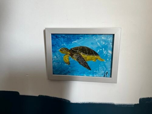 Tortue aquatique - Image 2