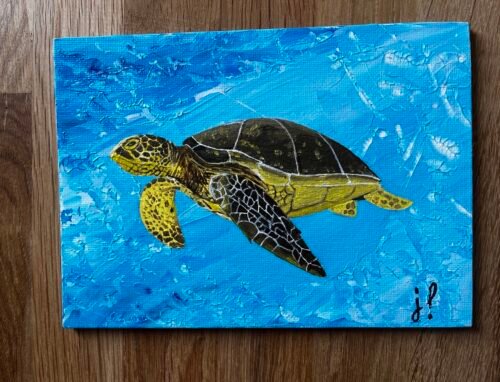 Tortue aquatique